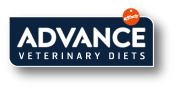 logo Advance